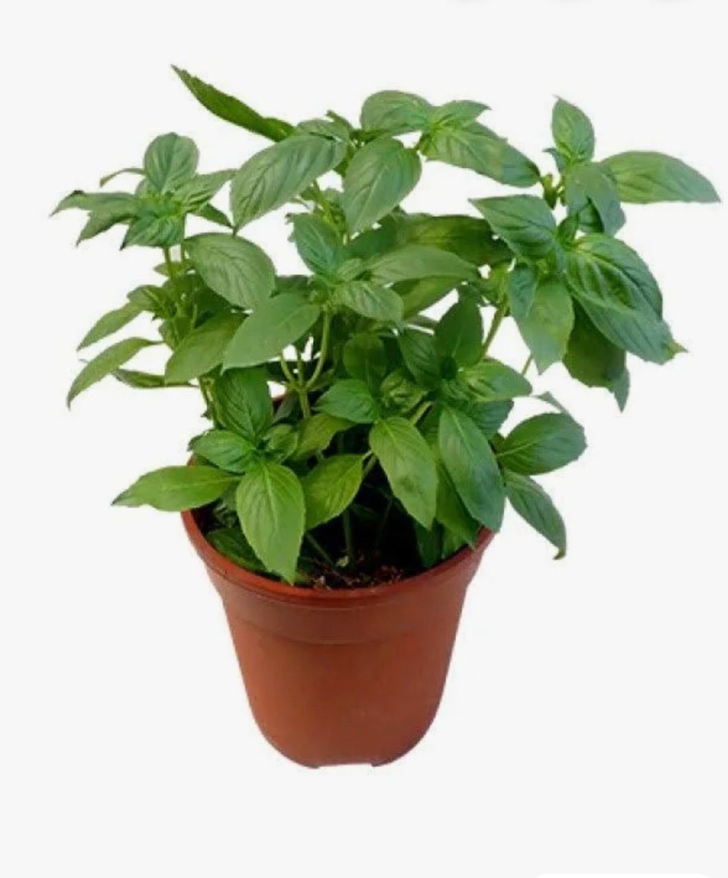 Photos are for illustration purpose 