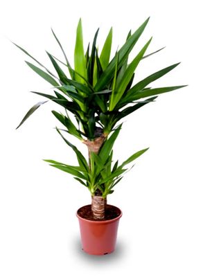 Photos are for illustration purpose 