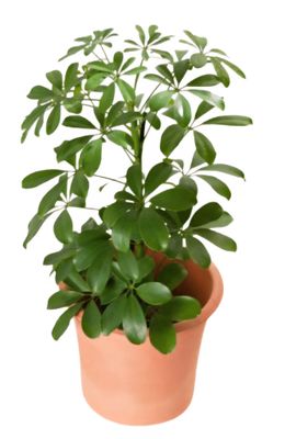 Photos are for illustration purpose 