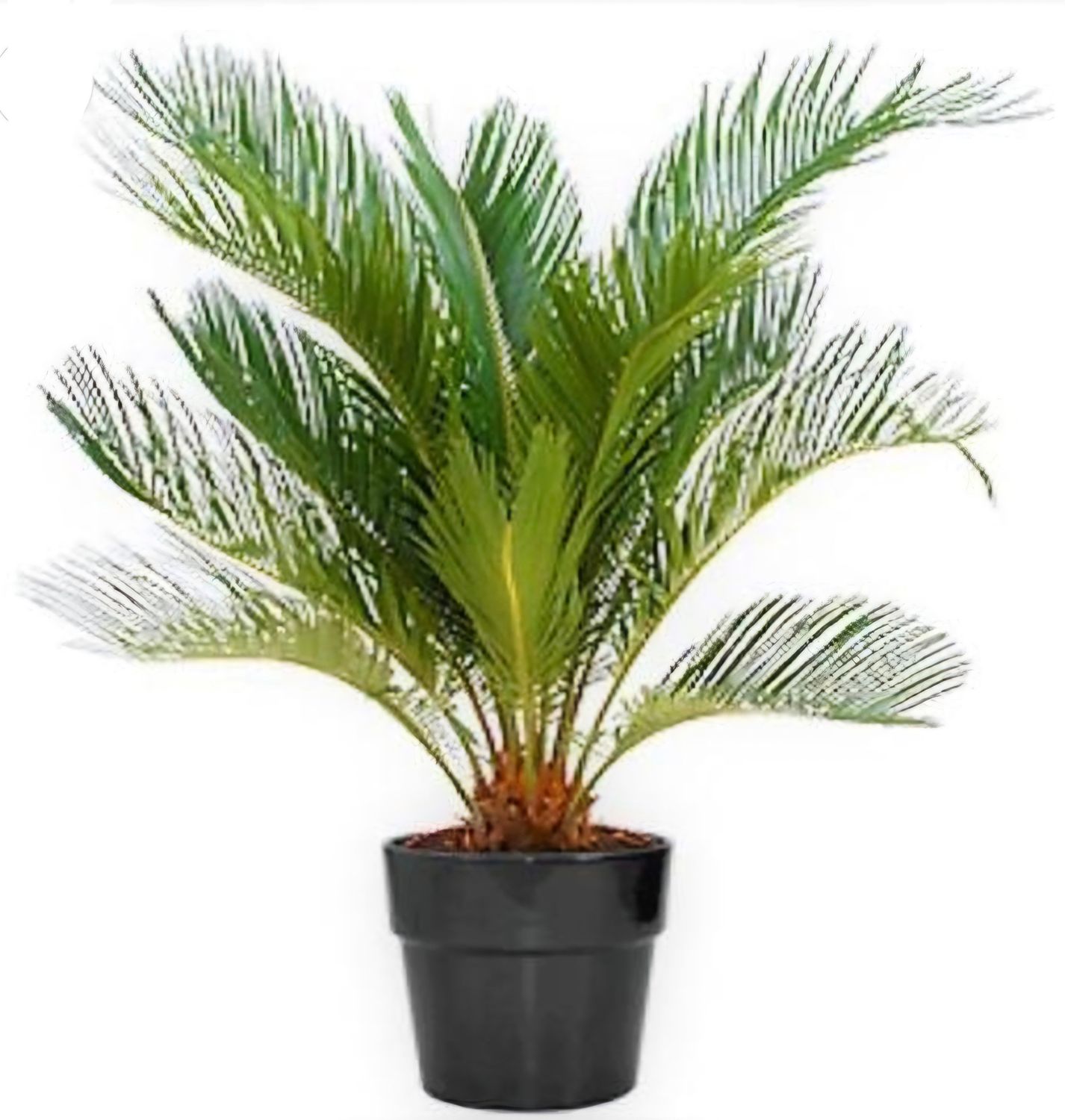 Photos are for illustration purpose 