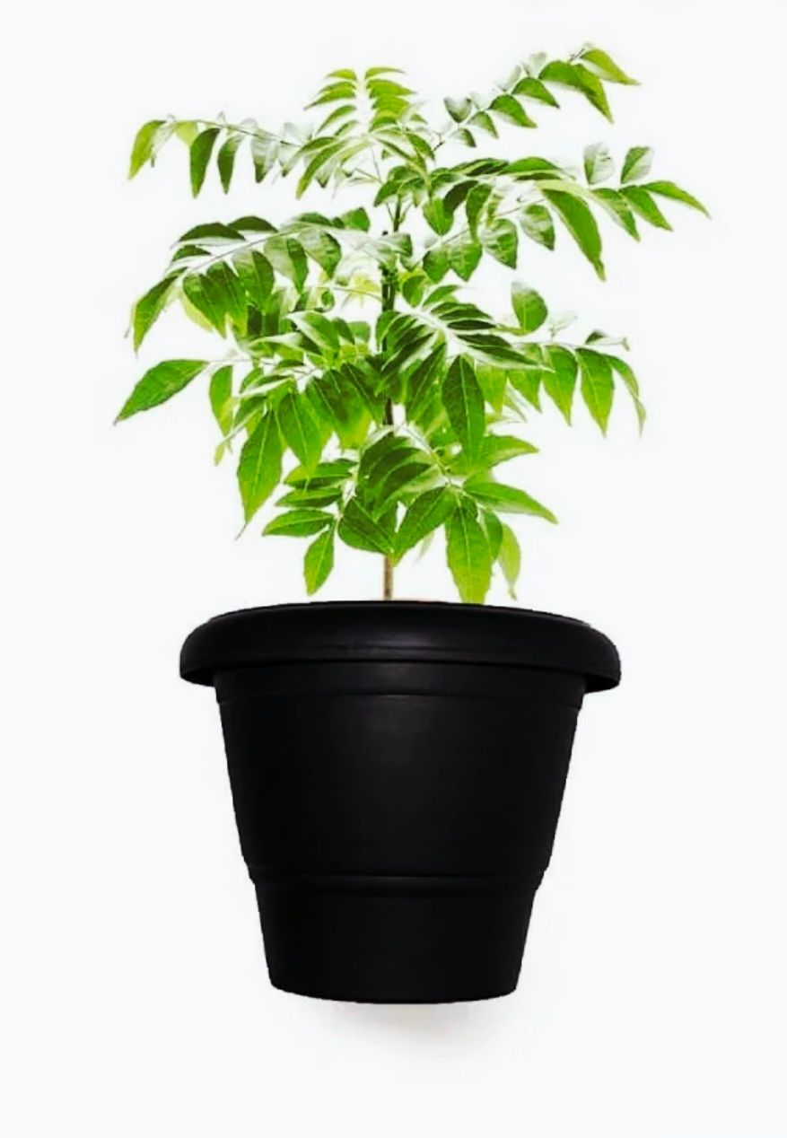 Photos are for illustration purpose 