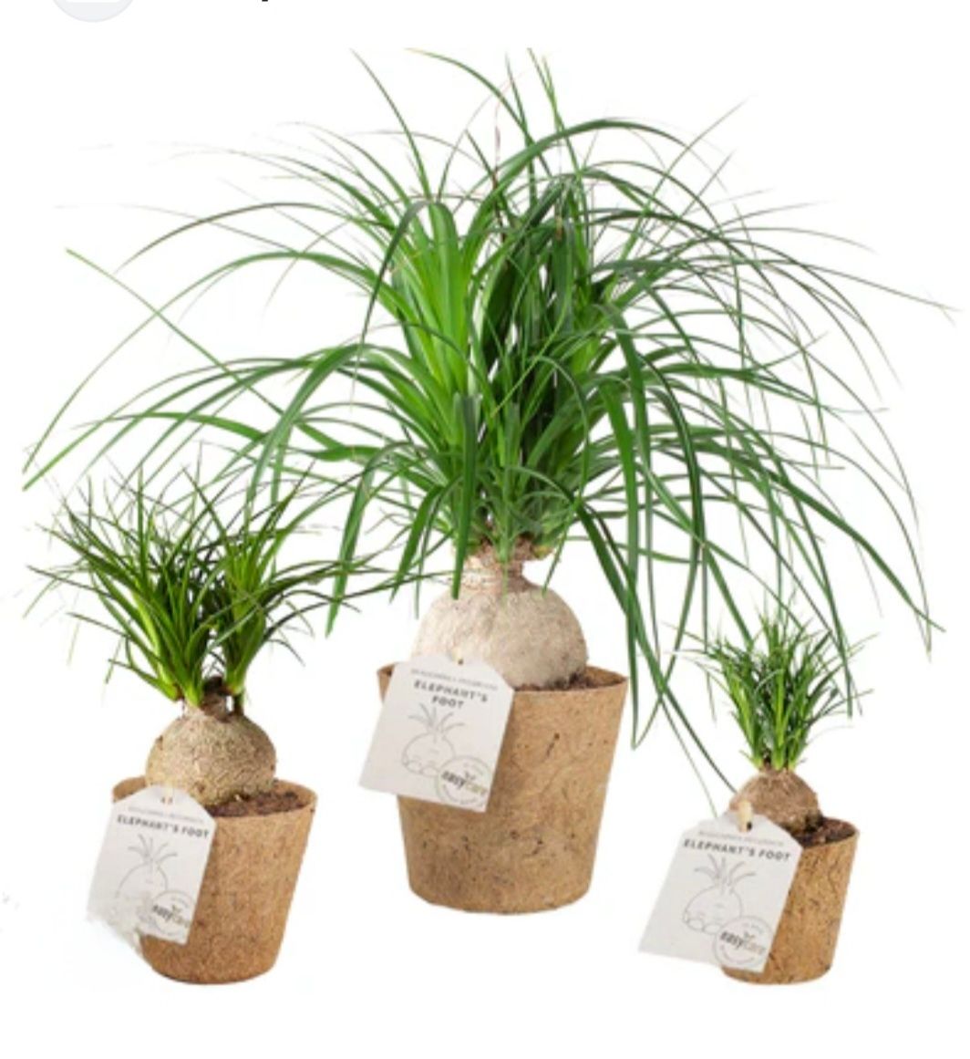 Photos are for illustration purpose 