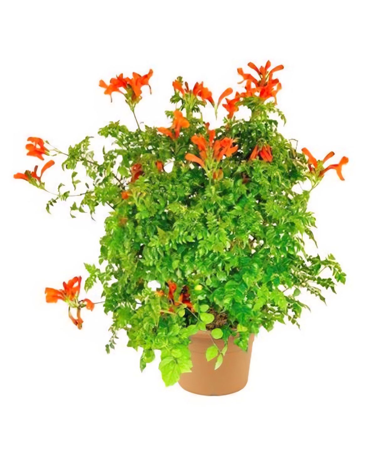 Photos are for illustration purpose 