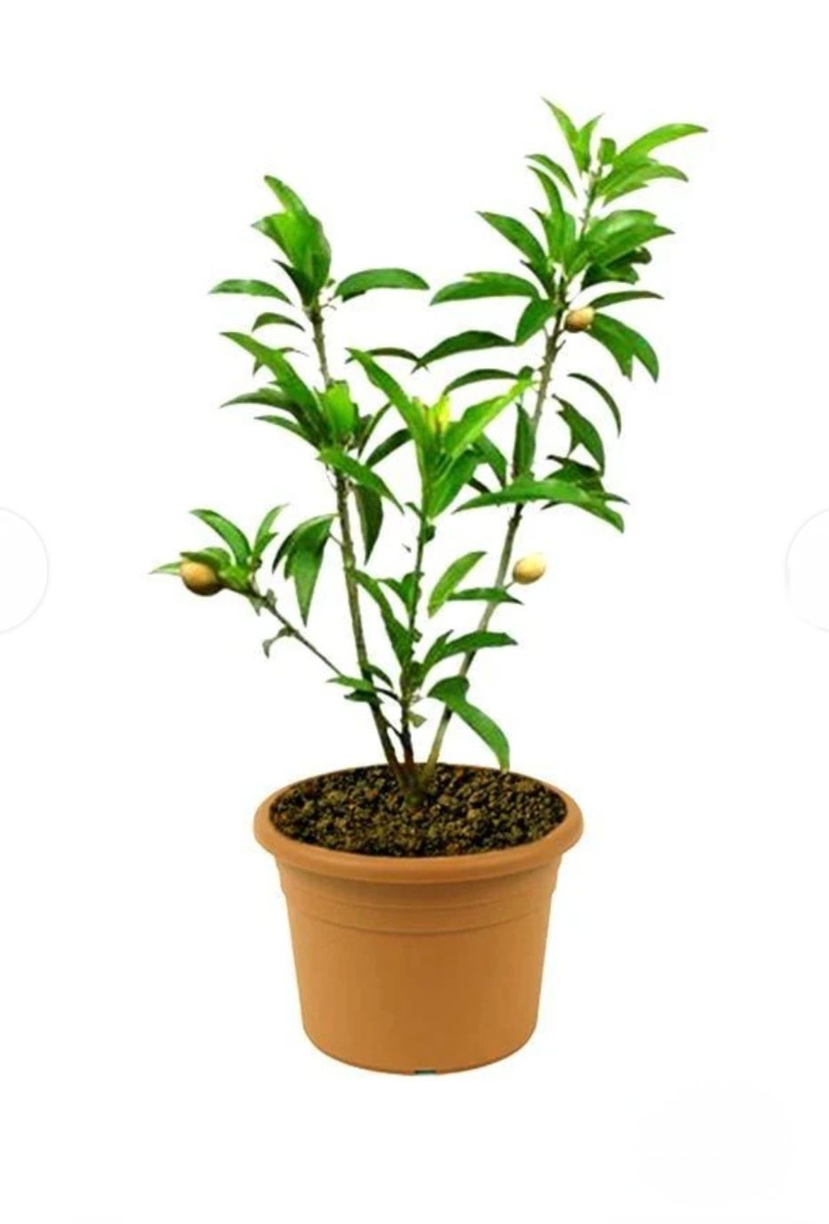 Photos are for illustration purpose 