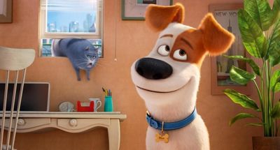 Pets - DVD