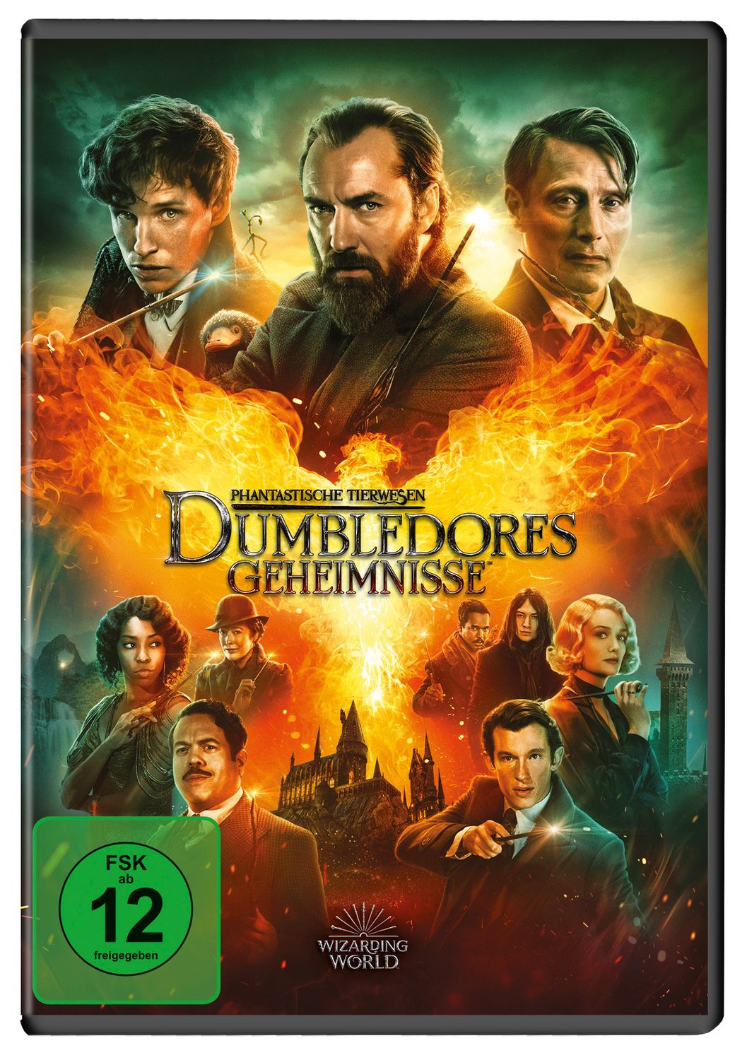 Phantastische Tierwesen: Dumbledores Geheimnisse - DVD