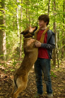 Max: Bester Freund. Held. Retter. - DVD