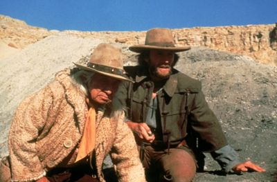 Der Texaner - DVD