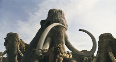 10.000 BC - DVD