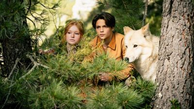 Woodwalkers 2 - DVD