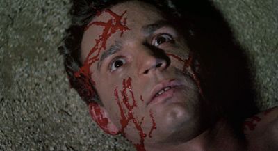 PIGS - Uncut Director's Cut (digital remastered, mit VHS-Artwork als Wendecover)