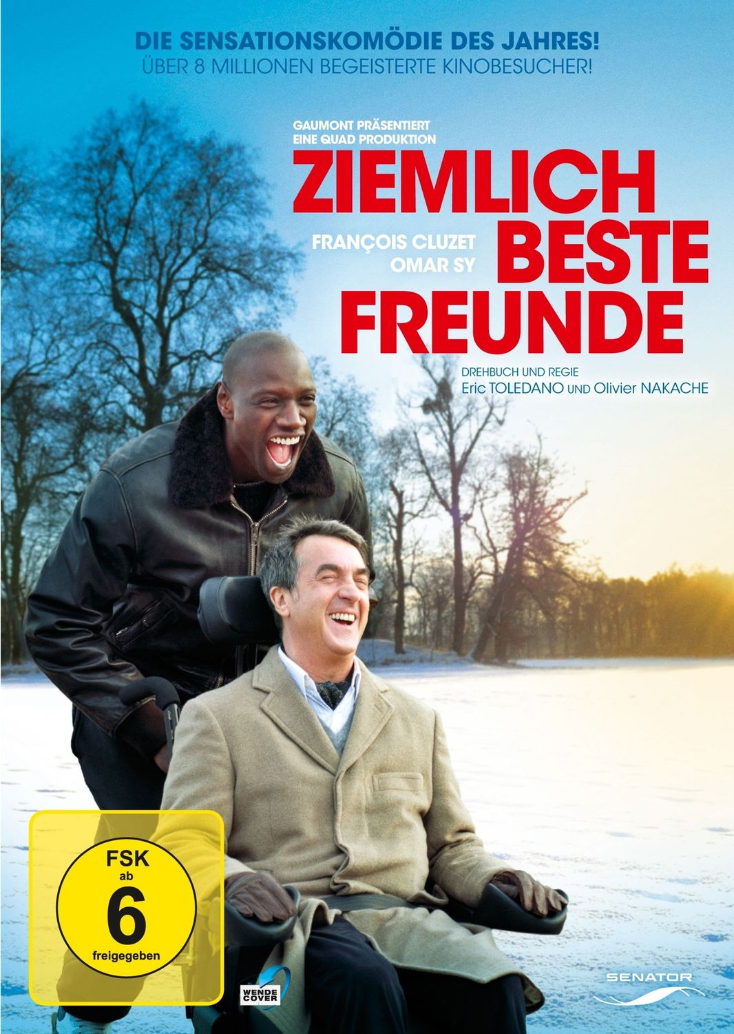 Ziemlich beste Freunde - DVD