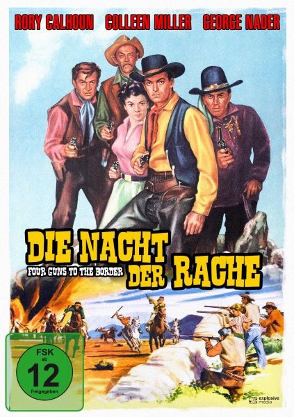 Die Nacht der Rache - DVD