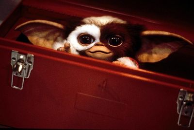 Die Gremlins Collection - DVD