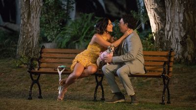 Dog Days - Herz, Hund, Happy End! - Blu-ray