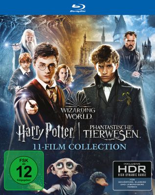 Wizarding World 11-Film Collection (Harry Potter / Fabelhafte Tierwesen) - Blu-ray