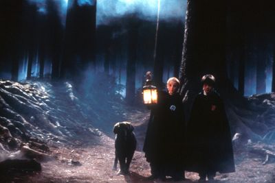 Harry Potter und der Stein der Weisen ( Jubiläumsedition inkl. Magical Movie Mode ) - Blu-ray