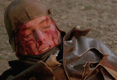 The Aviator - Absturz in der Wildnis - DVD
