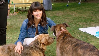 Dog Days - Herz, Hund, Happy End! - Blu-ray