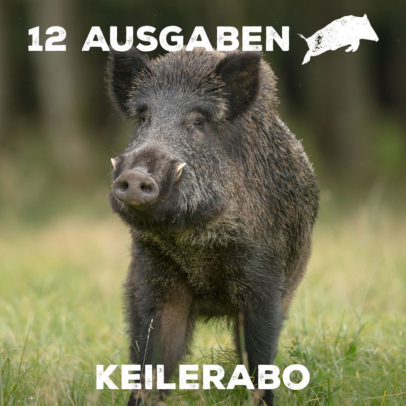 Überläufer Keilerabo Deutschland