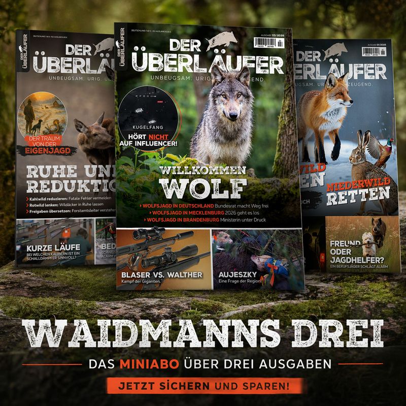 Überläufer-Kennenlern-Abo Deutschland