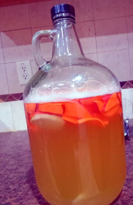 Water Kefir Shares