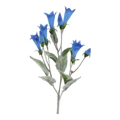 Gentian X 9, 37 cm Blue