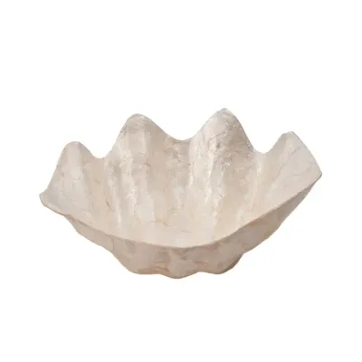 The Mother of Pearl Soap Dish