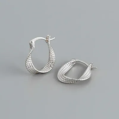 Twisted LIne Earrings S925