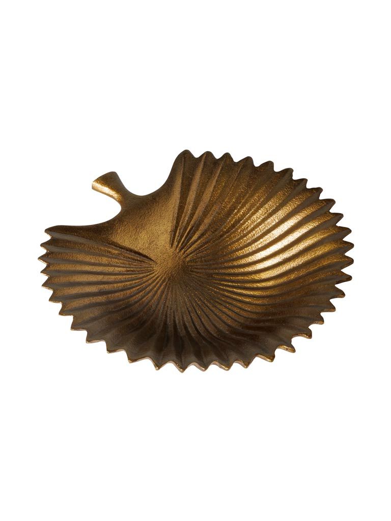 Trinket tray windmill palm