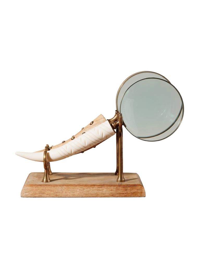 Horn magnifier on stand