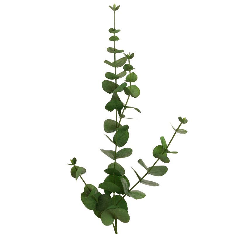 Eucalyptus 80 cm green x4