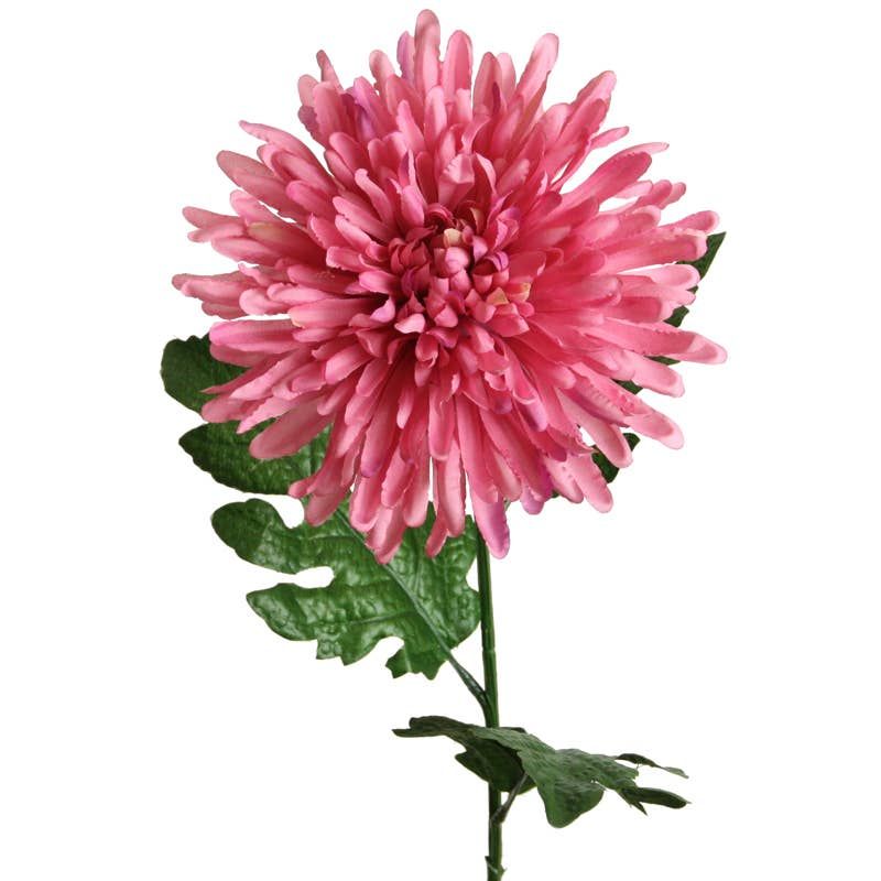 Chrysanthemum 70 cm mauve
