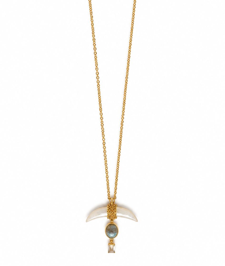 Pearl Horn Labradorite and Clear Quartz Necklace