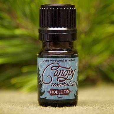 Noble Fir