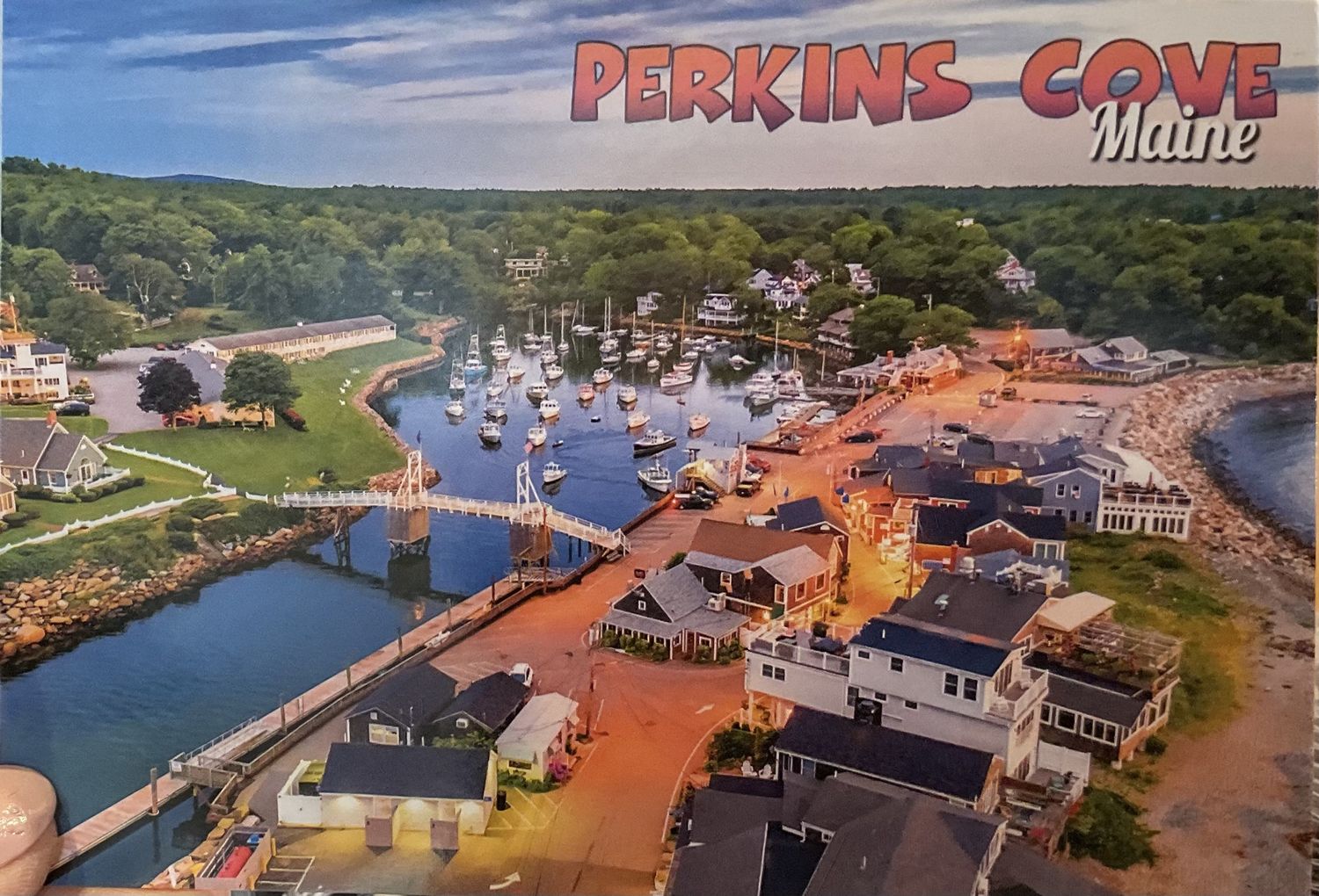 4 x 6 Post Cards Pc1 / MSC0298