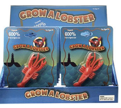 Grow A Lobster MSC0174