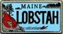 Maine Lobstah License Plate PIN MSC0185