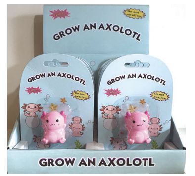 Grow  A Axoloti  MSC0417