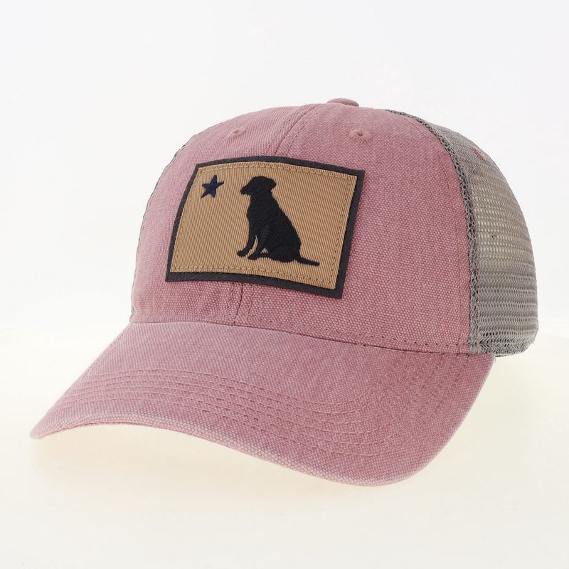 Lab Star Hat LEG0032