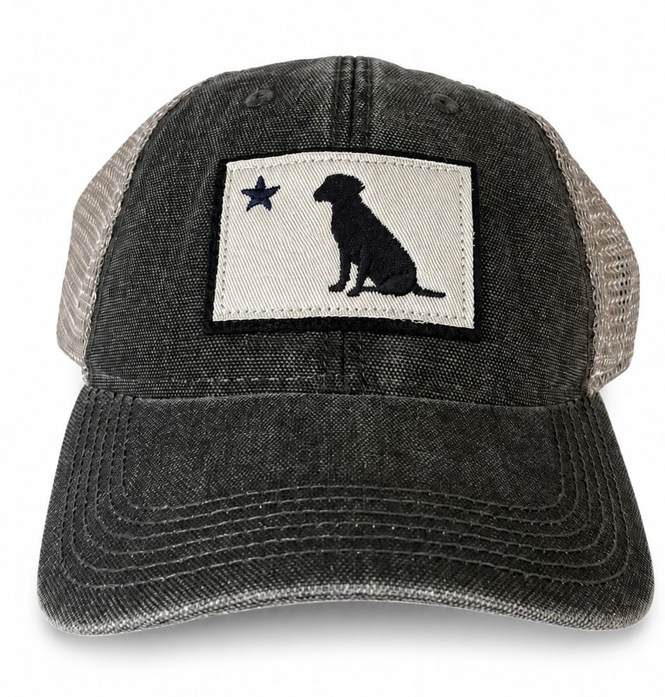 Lab Star Hat LEG0032