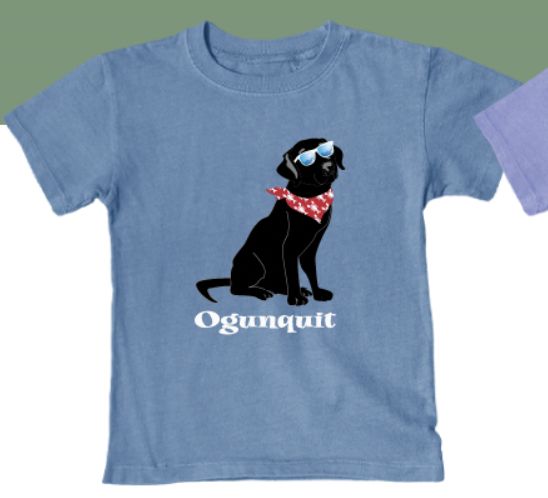 Hollerback Cool Dog Shirt   LAK0009