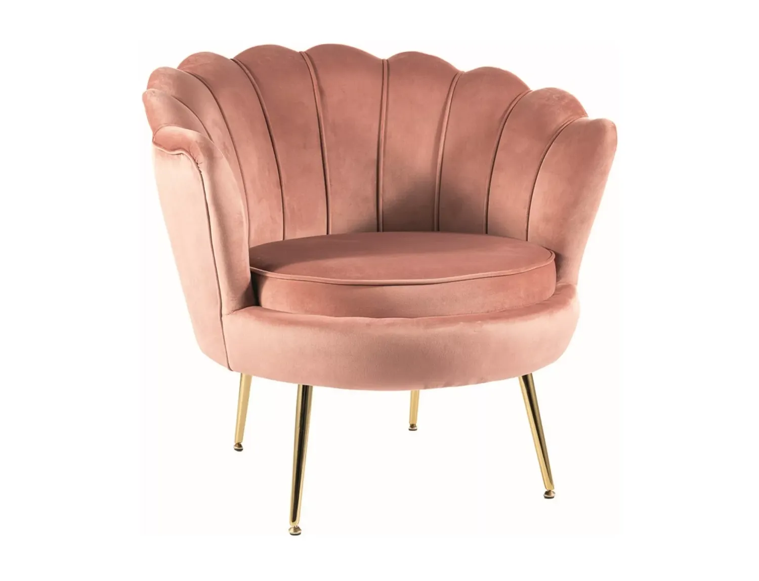 Camellia 1 Velvet