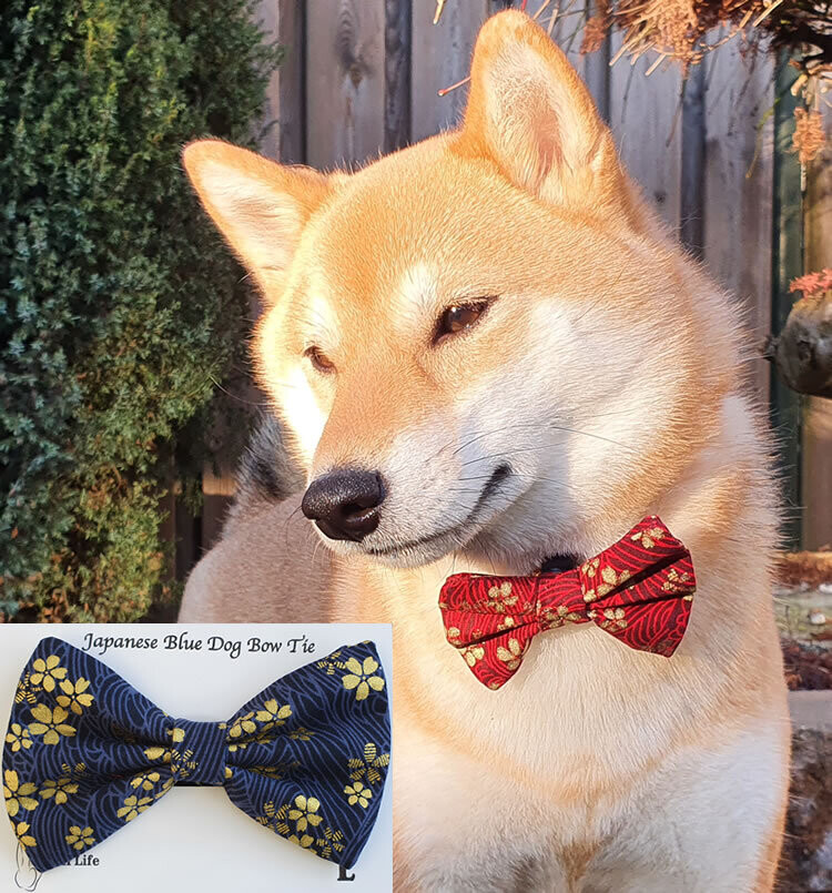 Japanse bow tie