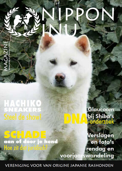 Clubmagazine 2022-2
