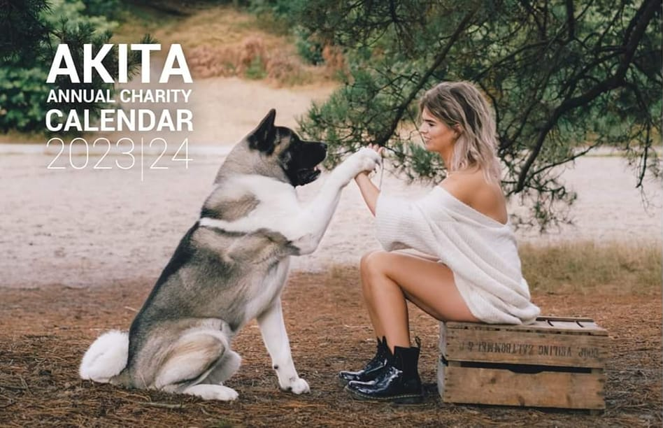Akita/American Akita/Shiba Charity kalender