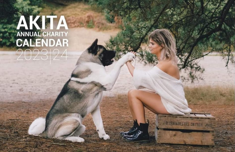 Akita/American Akita/Shiba Charity kalender