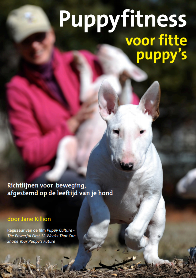 Puppyfitness