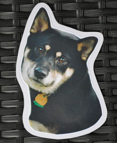 Sticker Shiba B/T groot