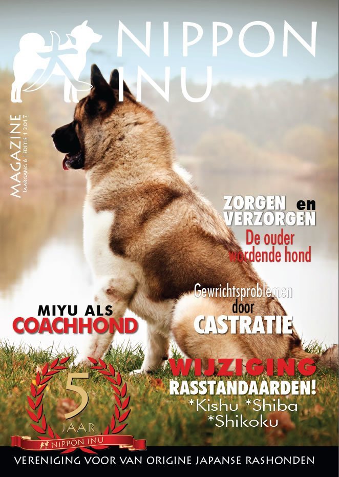 Clubmagazine 2017-1